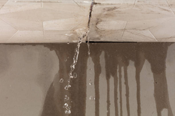 Professional Water Damage Inspection technician working in Chatfield, MN